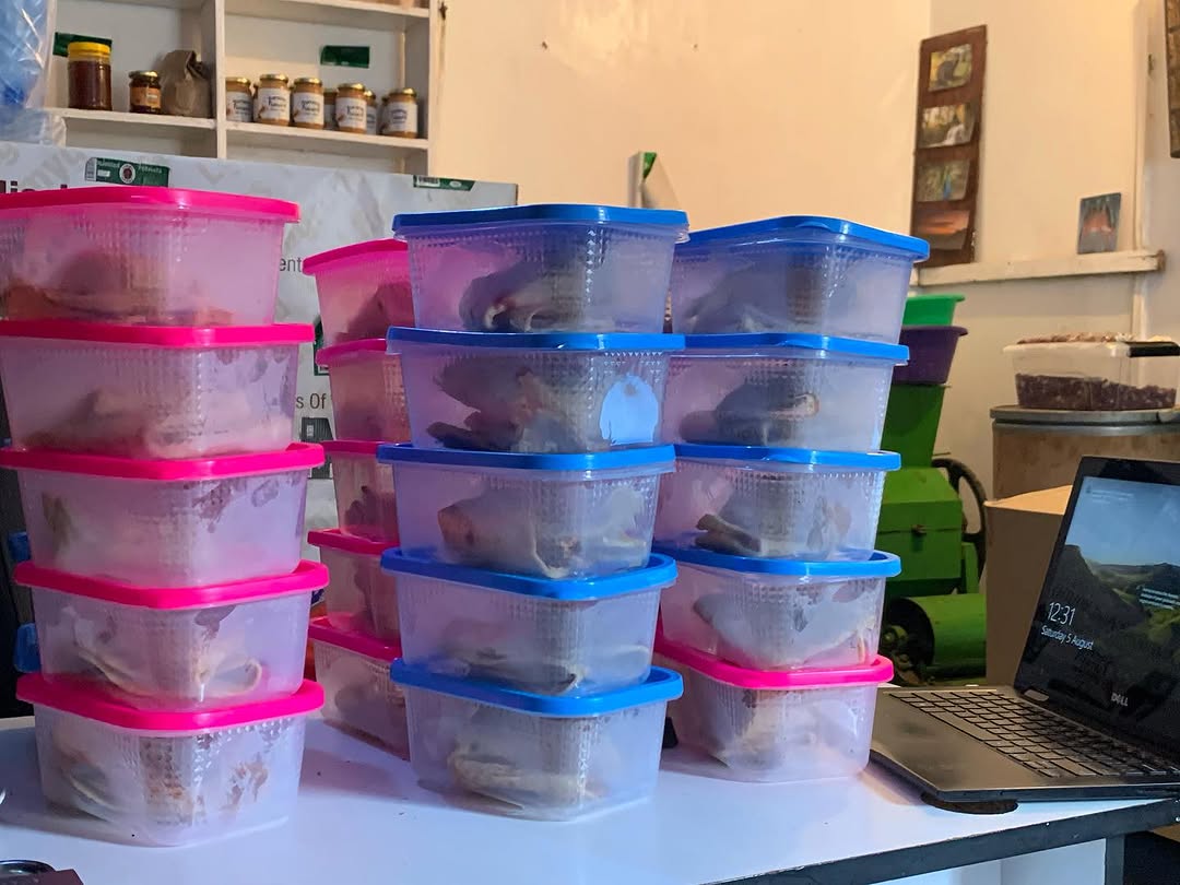 Nutrition Support